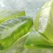 Slices of fresh aloe vera gel glistening in natural light.