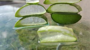 Sliced aloe vera gel on a reflective surface.
