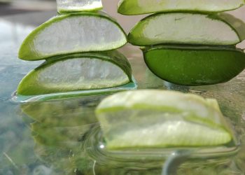 Sliced aloe vera gel on a reflective surface.