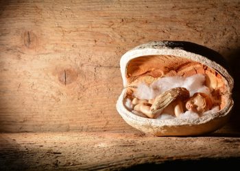 Angel figurine inside a wooden shell cradle.