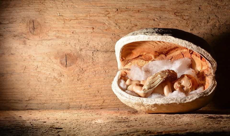 Angel figurine inside a wooden shell cradle.