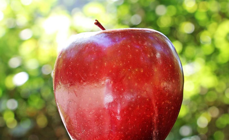 Shiny red apple in sunlight against a leafy background.