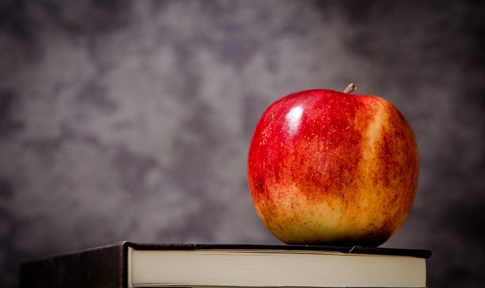 Red apple resting on a stack of books.