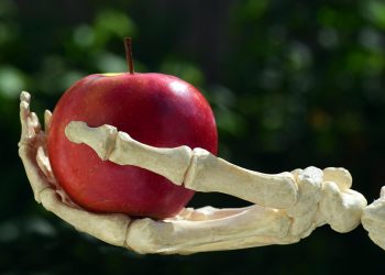 Skeleton hand holding a red apple outdoors.