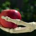Skeleton hand holding a red apple outdoors.