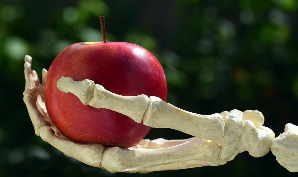 Skeleton hand holding a red apple outdoors.