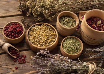 Dried herbs and berries in wooden bowls on rustic table.