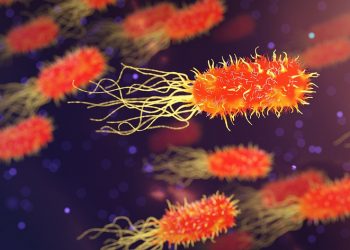 Bacteria with flagella swimming, highlighting movement and structure.