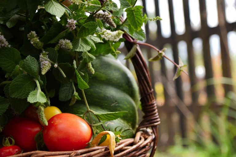 Basket of fresh garden vegetables and herbs.