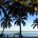 Tropical beach with palm trees and a boat on the ocean.