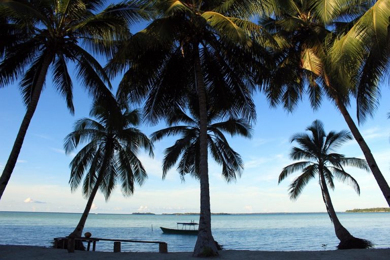 Tropical beach with palm trees and a boat on the ocean.