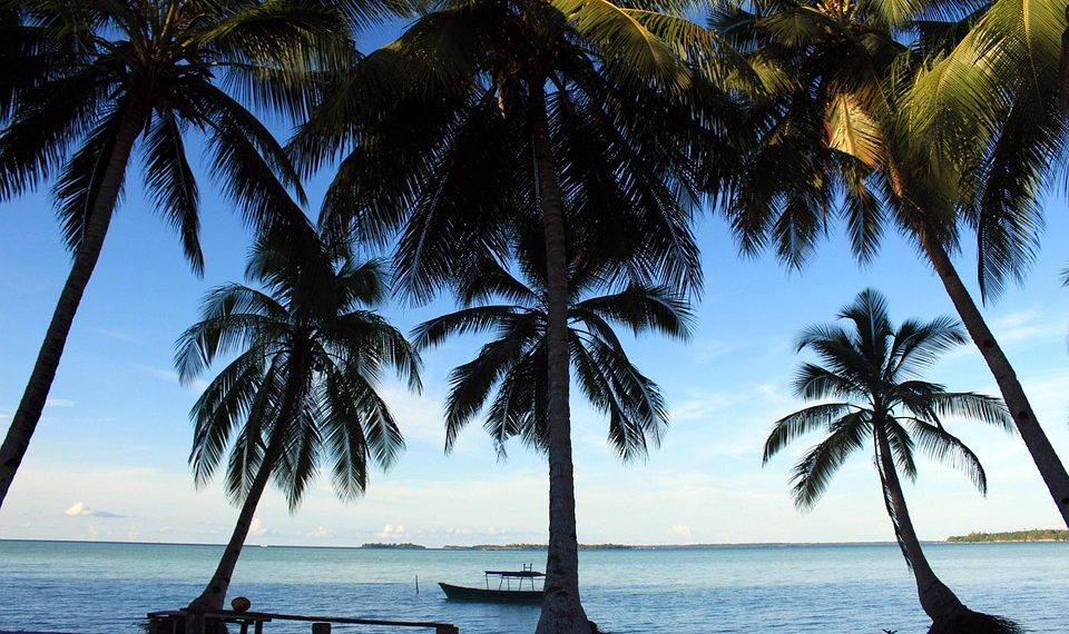 Tropical beach with palm trees and a boat on the ocean.