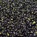 Black beans scattered on a surface.