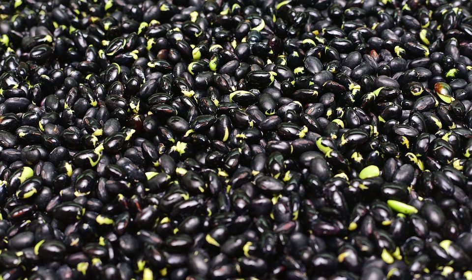 Black beans scattered on a surface.