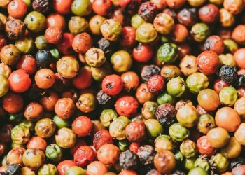 Colorful peppercorns in variety, perfect for spicing up dishes.