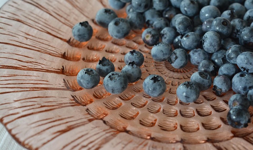 Blueberries scattered on a decorative plate.
