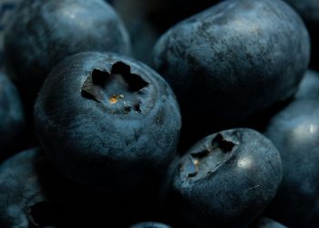 Close-up of fresh blueberries.