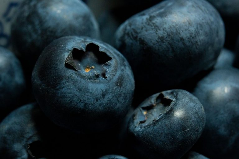 Close-up of fresh blueberries.