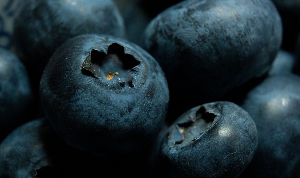 Close-up of fresh blueberries.