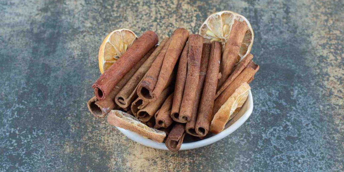 Cinnamon sticks and dried lemon slices in a bowl.