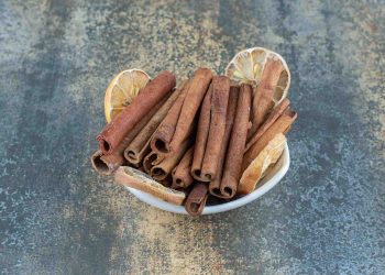 Cinnamon sticks and dried lemon slices in a bowl.