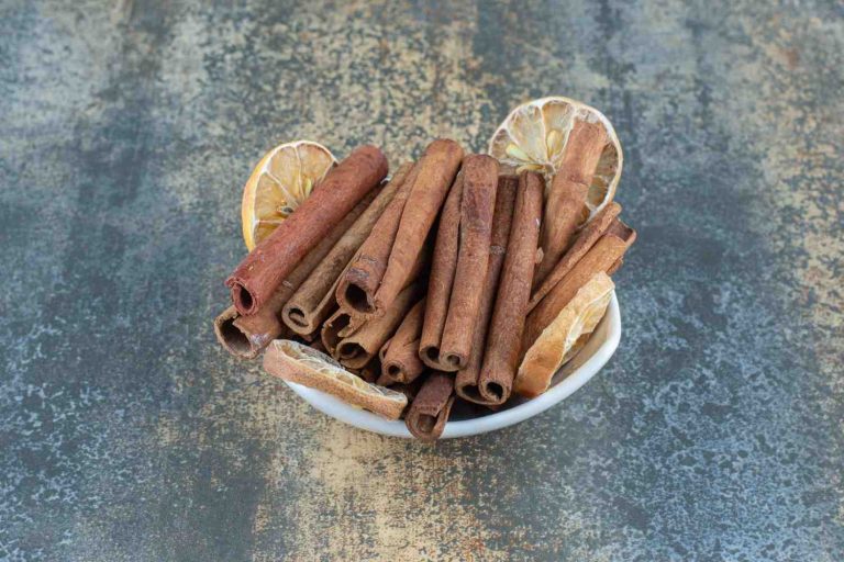 Cinnamon sticks and dried lemon slices in a bowl.