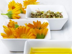 Yellow calendula flowers, dried herbs, and oil in white bowls.