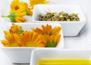 Yellow calendula flowers, dried herbs, and oil in white bowls.