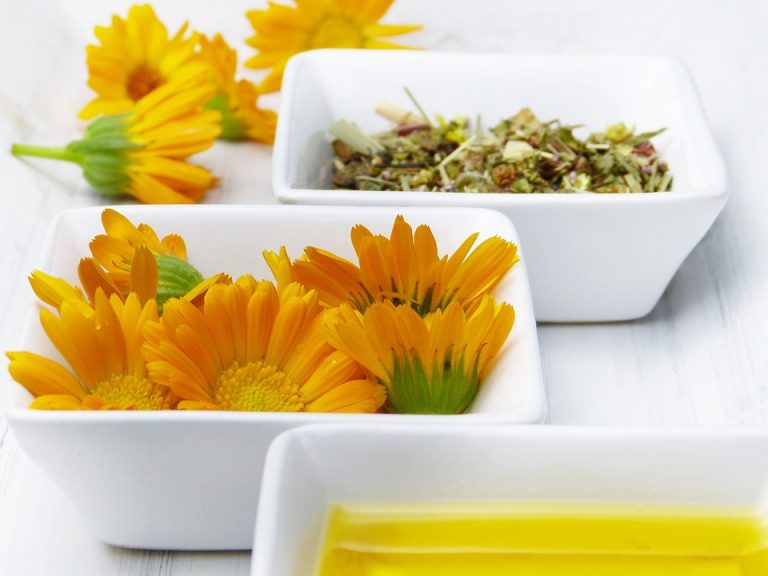 Yellow calendula flowers, dried herbs, and oil in white bowls.