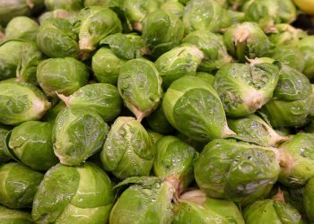 Fresh Brussels sprouts piled together with water droplets.