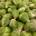 Fresh Brussels sprouts piled together with water droplets.