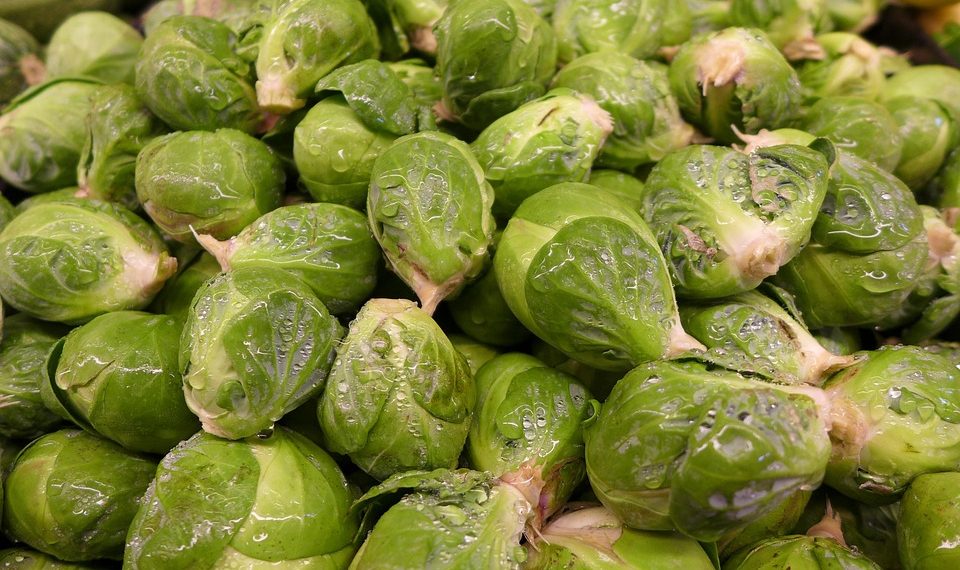 Fresh Brussels sprouts piled together with water droplets.