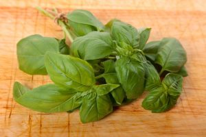 Fresh basil leaves on wooden cutting board