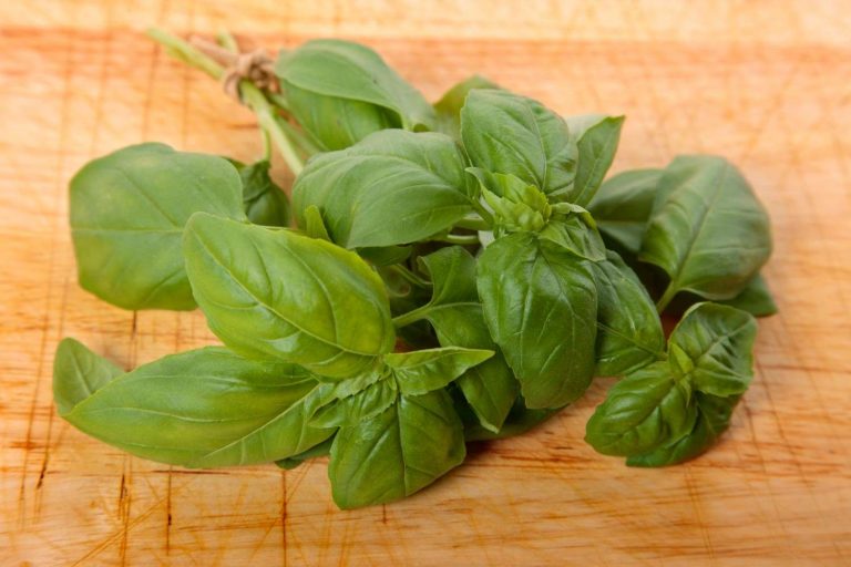 Fresh basil leaves on wooden cutting board
