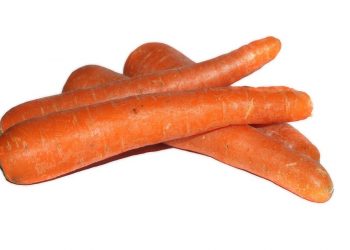 Bunch of fresh carrots stacked together.