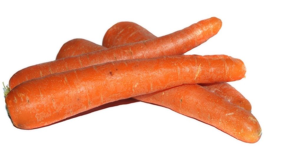 Bunch of fresh carrots stacked together.