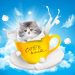 Cute kitten peeking out of a yellow coffee mug with splashes of milk.