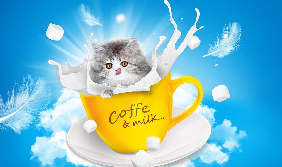 Cute kitten peeking out of a yellow coffee mug with splashes of milk.