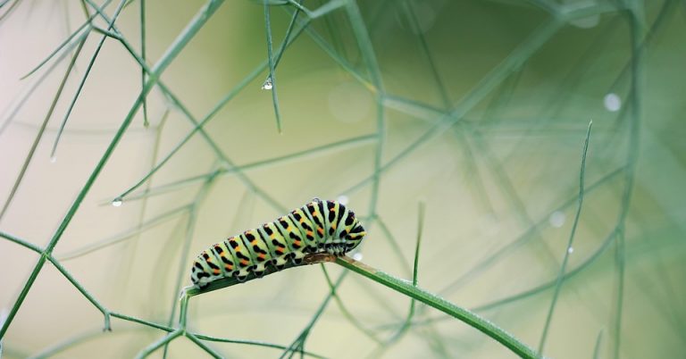 Vibrant caterpillar on a delicate green branch.