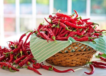 Basket overflowing with fresh red chili peppers on table.