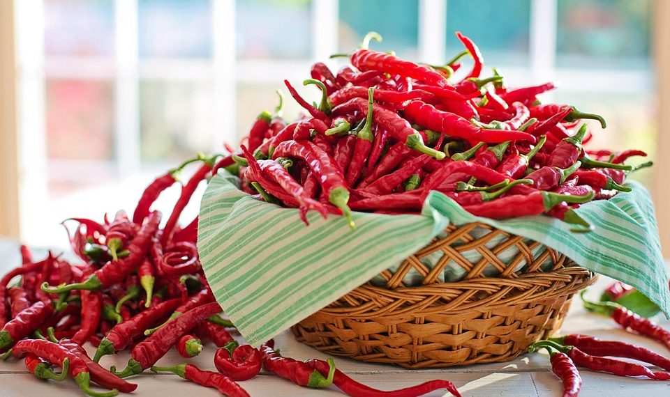 Basket overflowing with fresh red chili peppers on table.