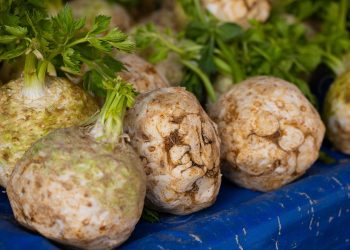 Celery roots on a blue tarp at a market.