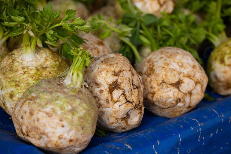 Celery roots on a blue tarp at a market.