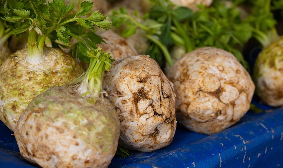 Celery roots on a blue tarp at a market.