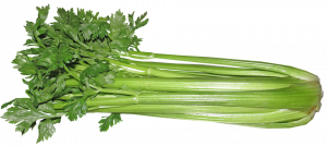 Celery stalks with fresh green leaves arranged.