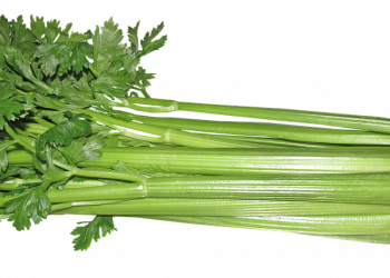 Celery stalks with fresh green leaves arranged.