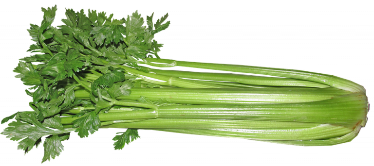 Celery stalks with fresh green leaves arranged.