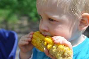 Toddler enjoying corn on the cob outdoors.