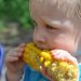 Toddler enjoying corn on the cob outdoors.