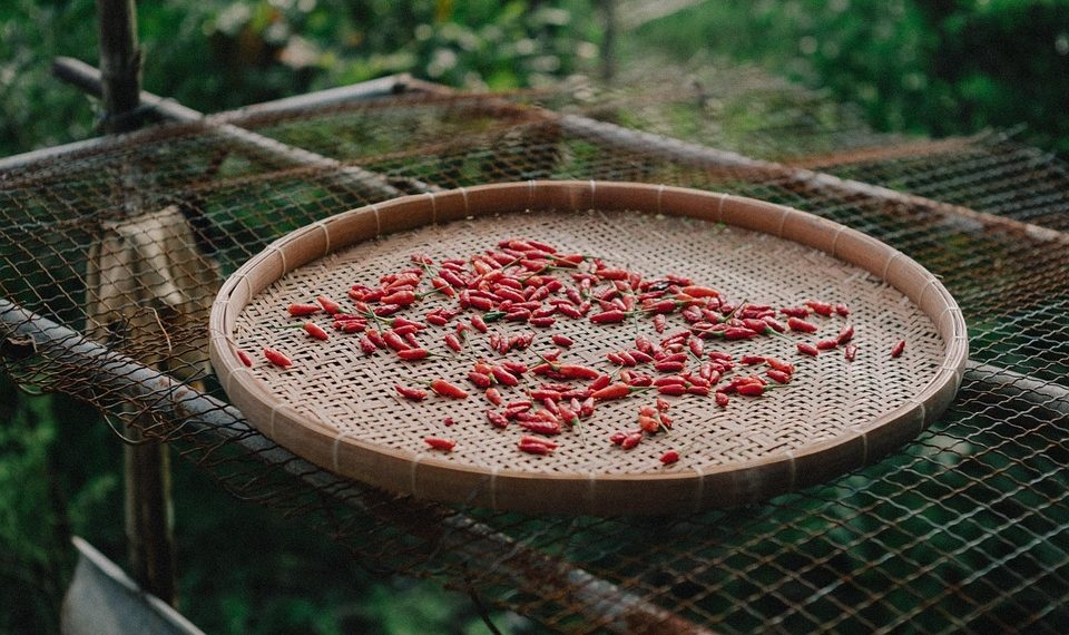Drying red chilies on a woven bamboo tray outdoors.